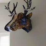La Belle Histoire Laforêt