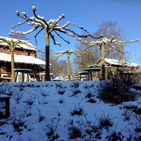 Alojamento de Acomodação e Pequeno-almoço La Belle Histoire 3*