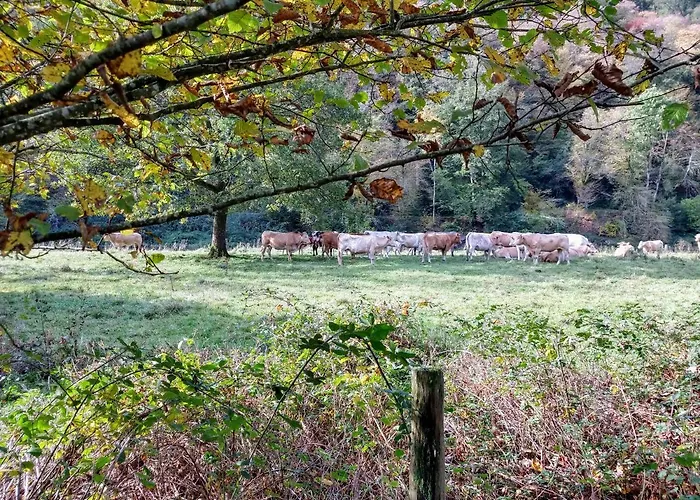 Bed & Breakfast La Belle Histoire